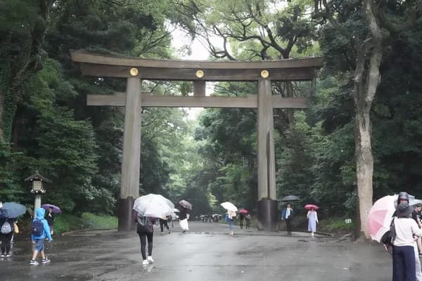 東京の明治神宮