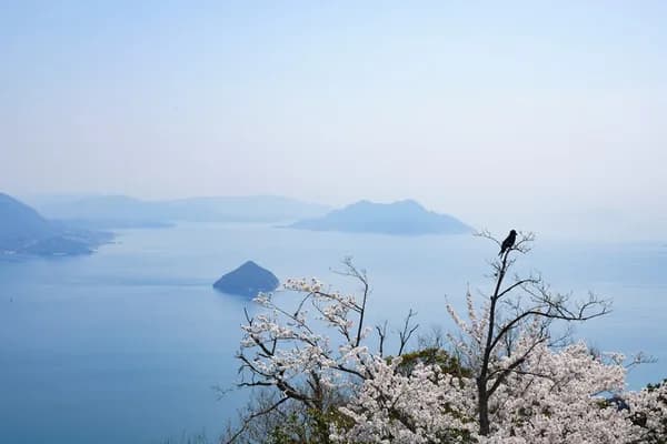 広島の弥山 (宮島)