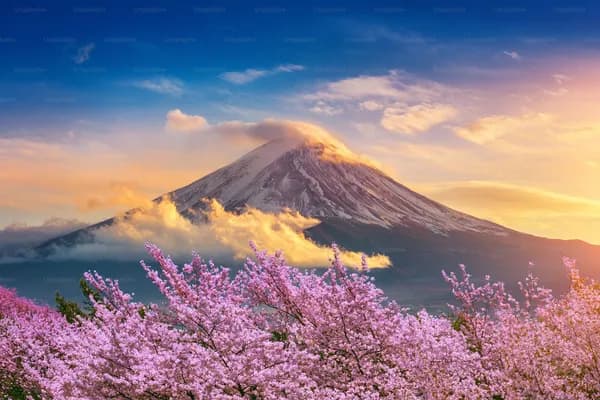 奈良の吉野山 — 桜の山