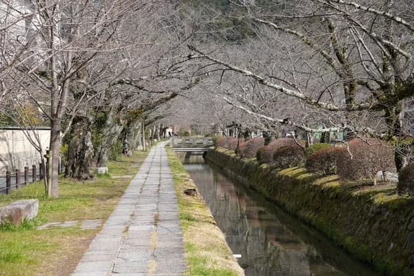 Philosopher's Path in Kyoto