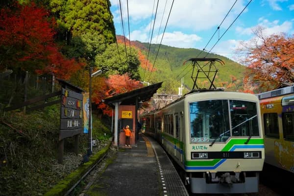 京都の嵯峨野トロッコ列車