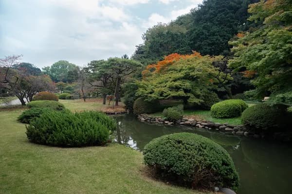 東京の新宿御苑
