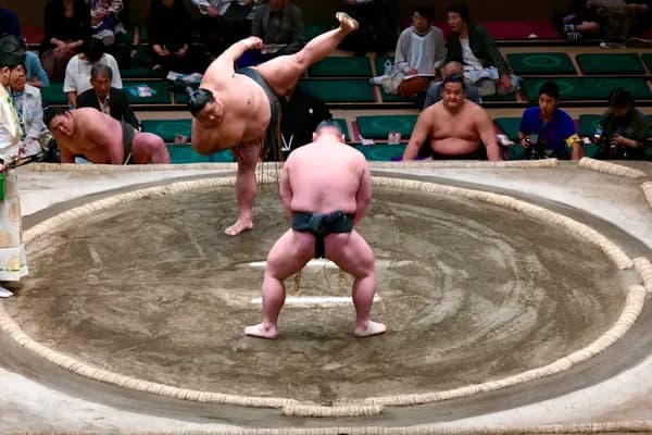 東京の相撲観戦体験