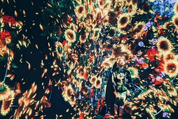 teamLab Borderless in Tokyo