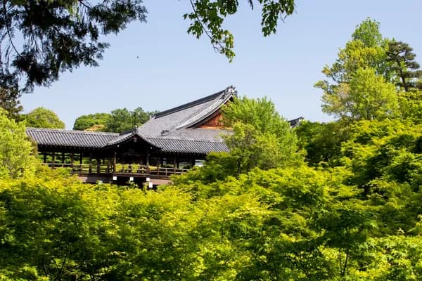 京都の東福寺 — 紅葉