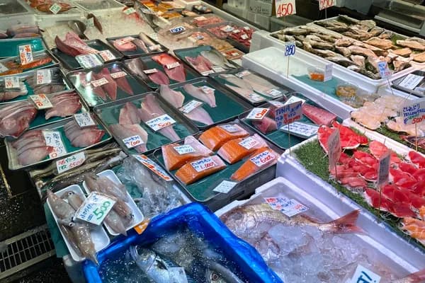 東京の豊洲市場 — マグロ競り見学