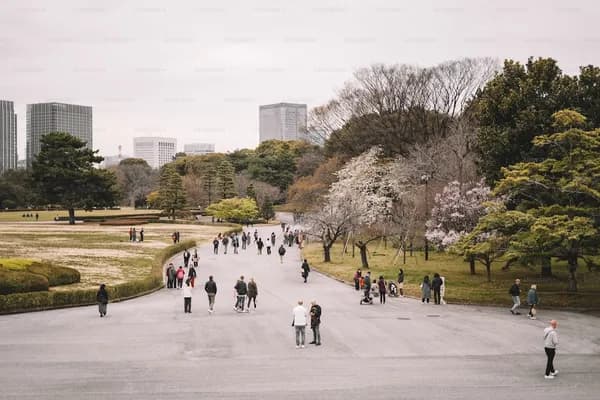 Ueno Park & Museums in Tokyo