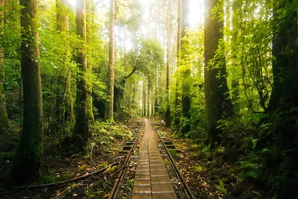 九州の屋久島