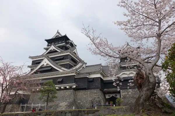 九州の熊本城